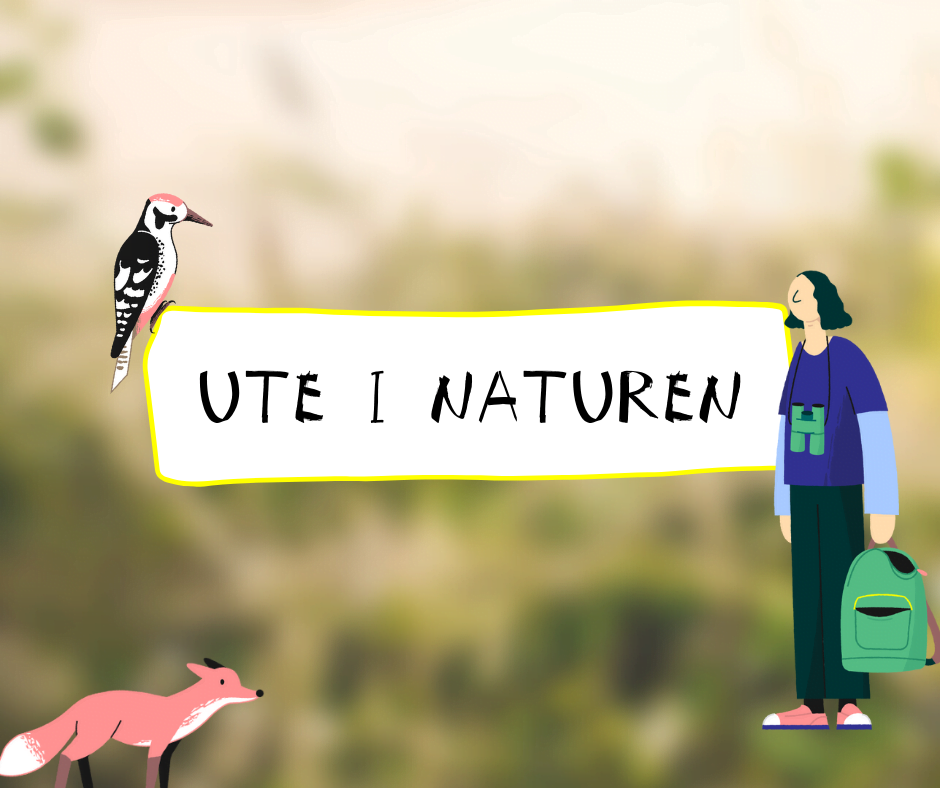 Ute i naturen
