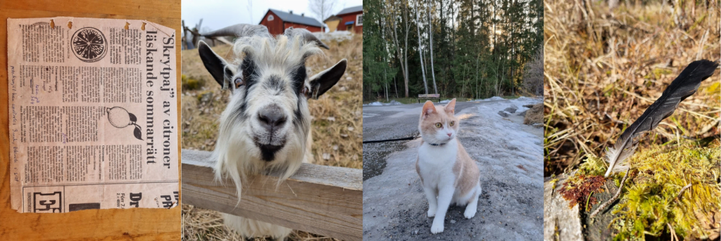 Komibation av bilder-järfällafältbiologer