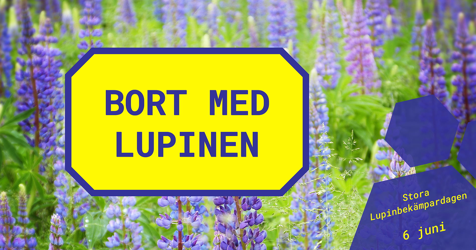 Lupiner text Bort med lupinen