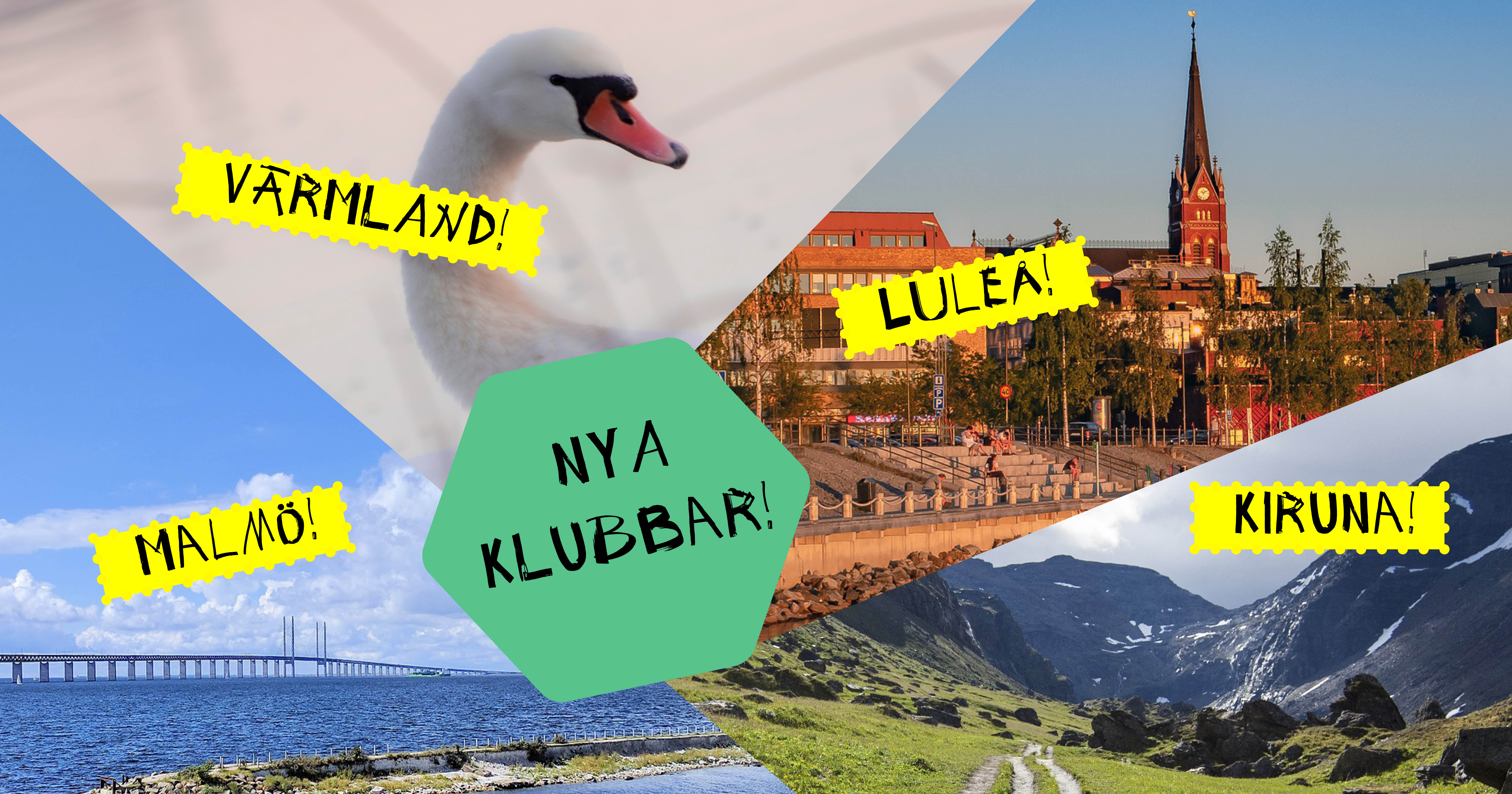 Olika bilder collage. Text Nya klubbar i fältbiologerna