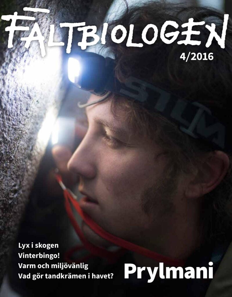 Framsida tidningen Fältbiologen 4/2016