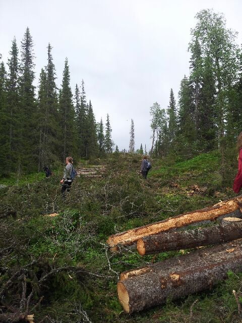Inventering i skog vattudal