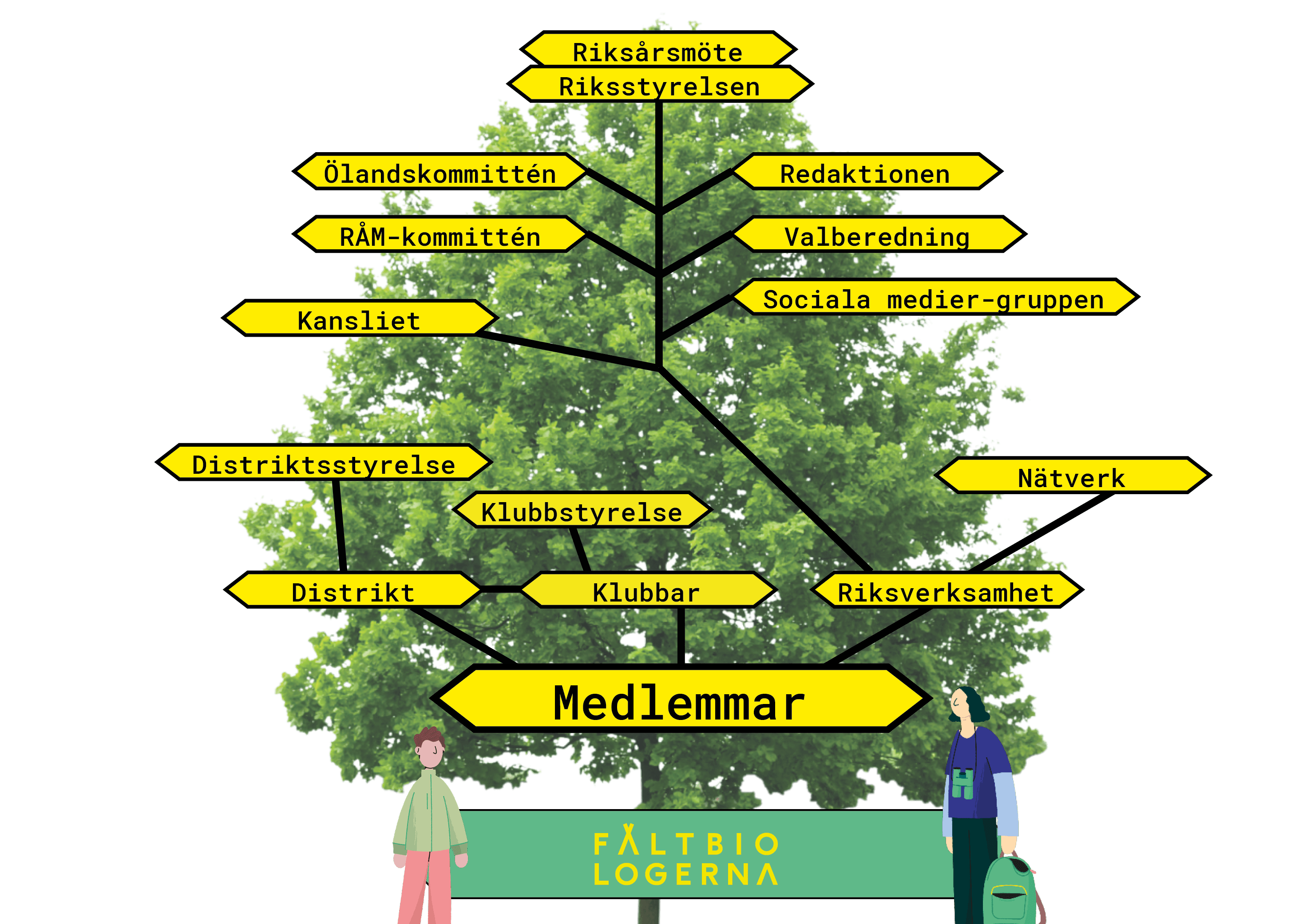 Fältbiologernas organisation